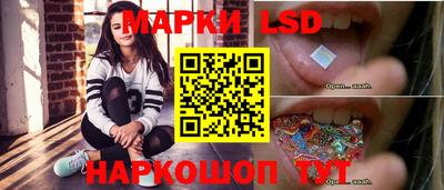 гидропоника Пенза