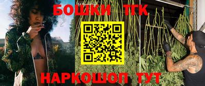 гидропоника Пенза