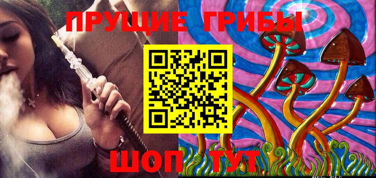 Галлюциногенные грибы Psilocybine cubensis  Вход с VPN  Протвино 